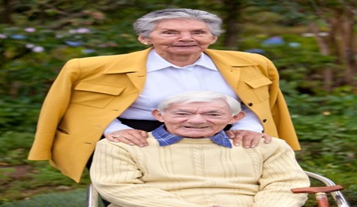 Outings for The Elderly – A Walk in The Park?